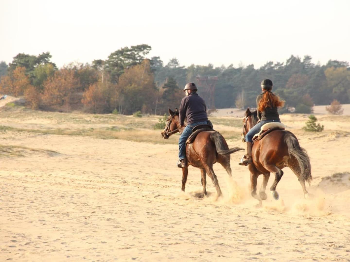Vakantiehuis Op Rustig Bospark Veluwe Voorthuizen Exterior photo