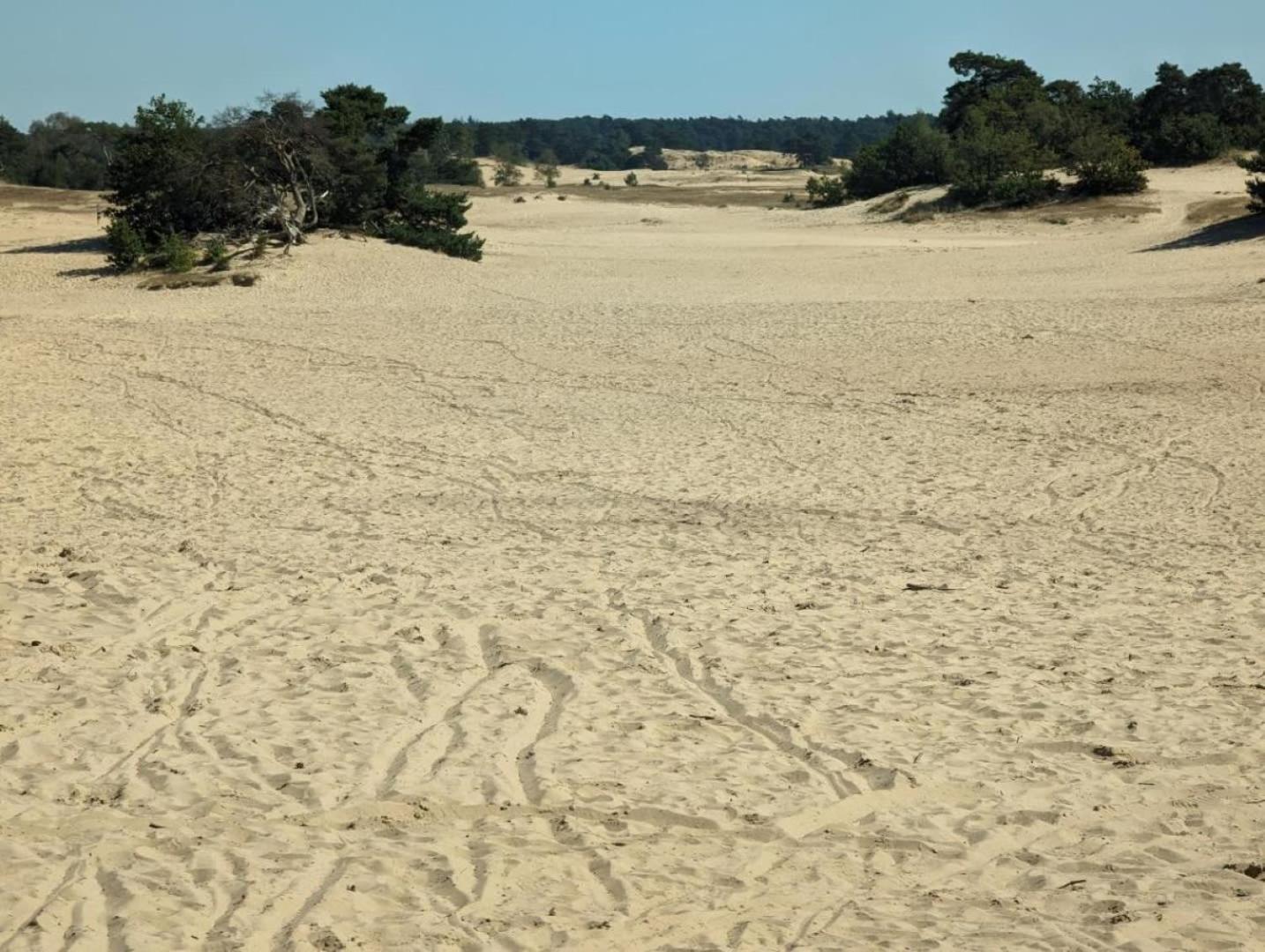 Vakantiehuis Op Rustig Bospark Veluwe Voorthuizen Exterior photo